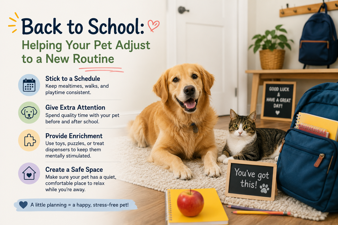 Back to School: Helping Your Pet Adjust to a New Routine
