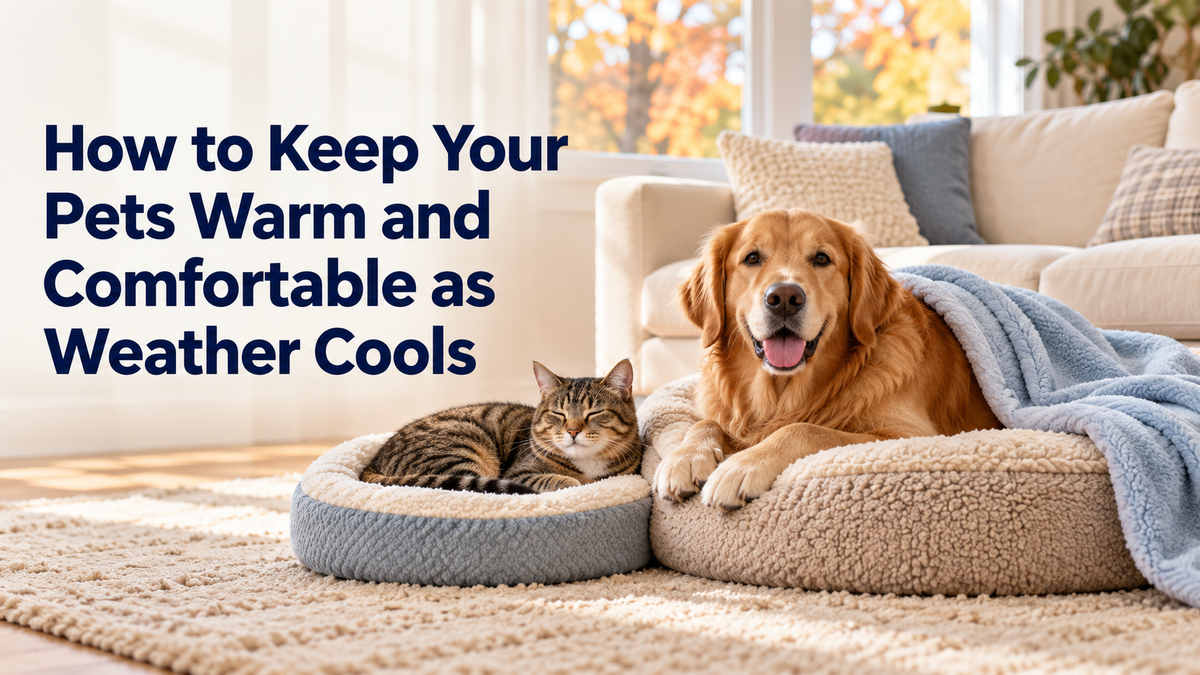 How to Keep Your Pets Warm and Comfortable as Weather Cools