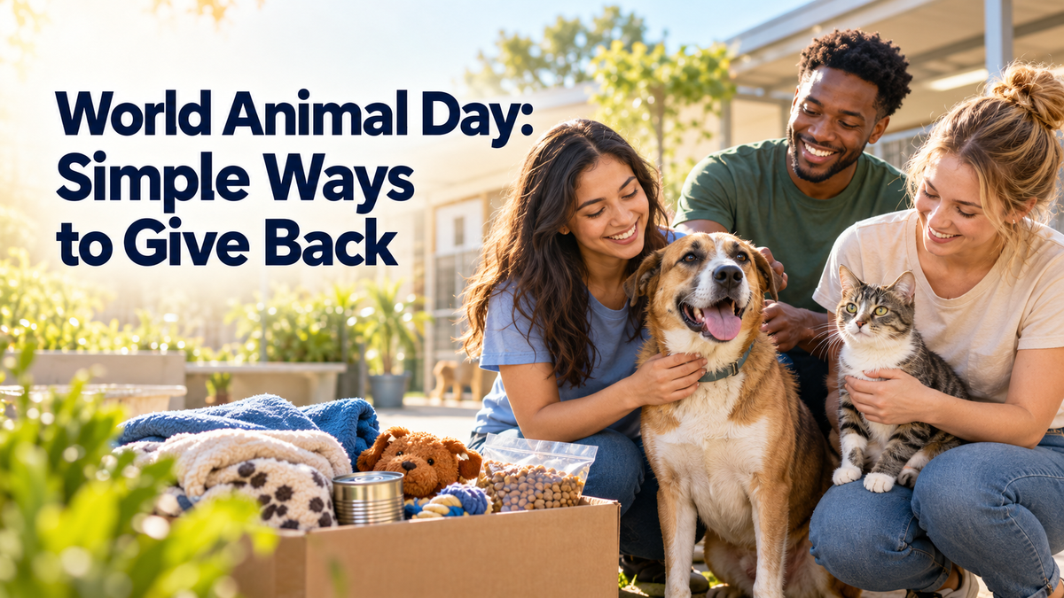World Animal Day: Simple Ways to Give Back