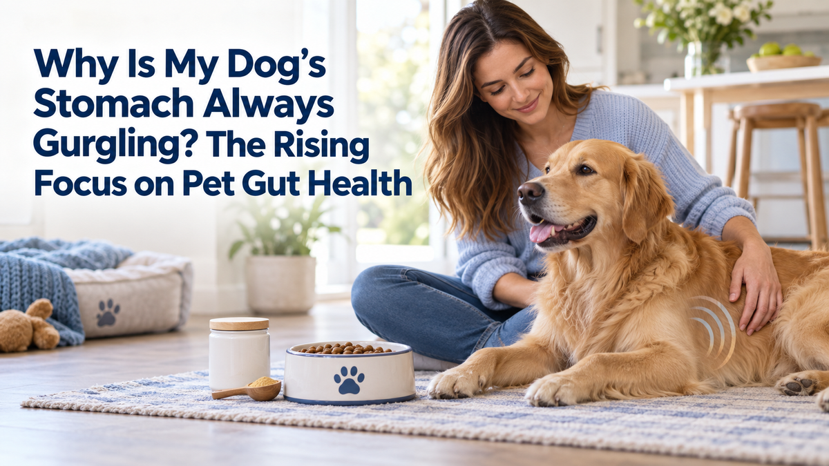 Why Is My Dog’s Stomach Always Gurgling? The Rising Focus on Pet Gut Health