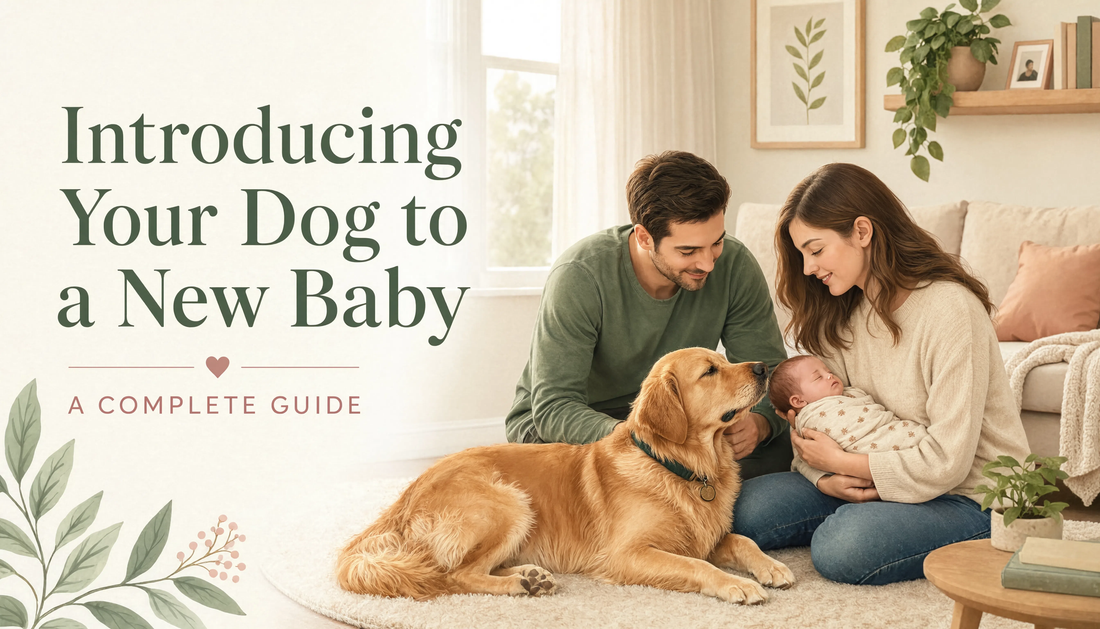 Introducing Your Dog to a New Baby: A Complete Guide