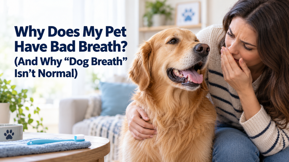 Why Does My Pet Have Bad Breath? (And Why "Dog Breath" Isn’t Normal)