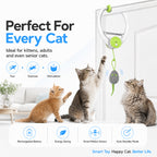 Beating Mouse Electric Door Holder Hanging  Toy