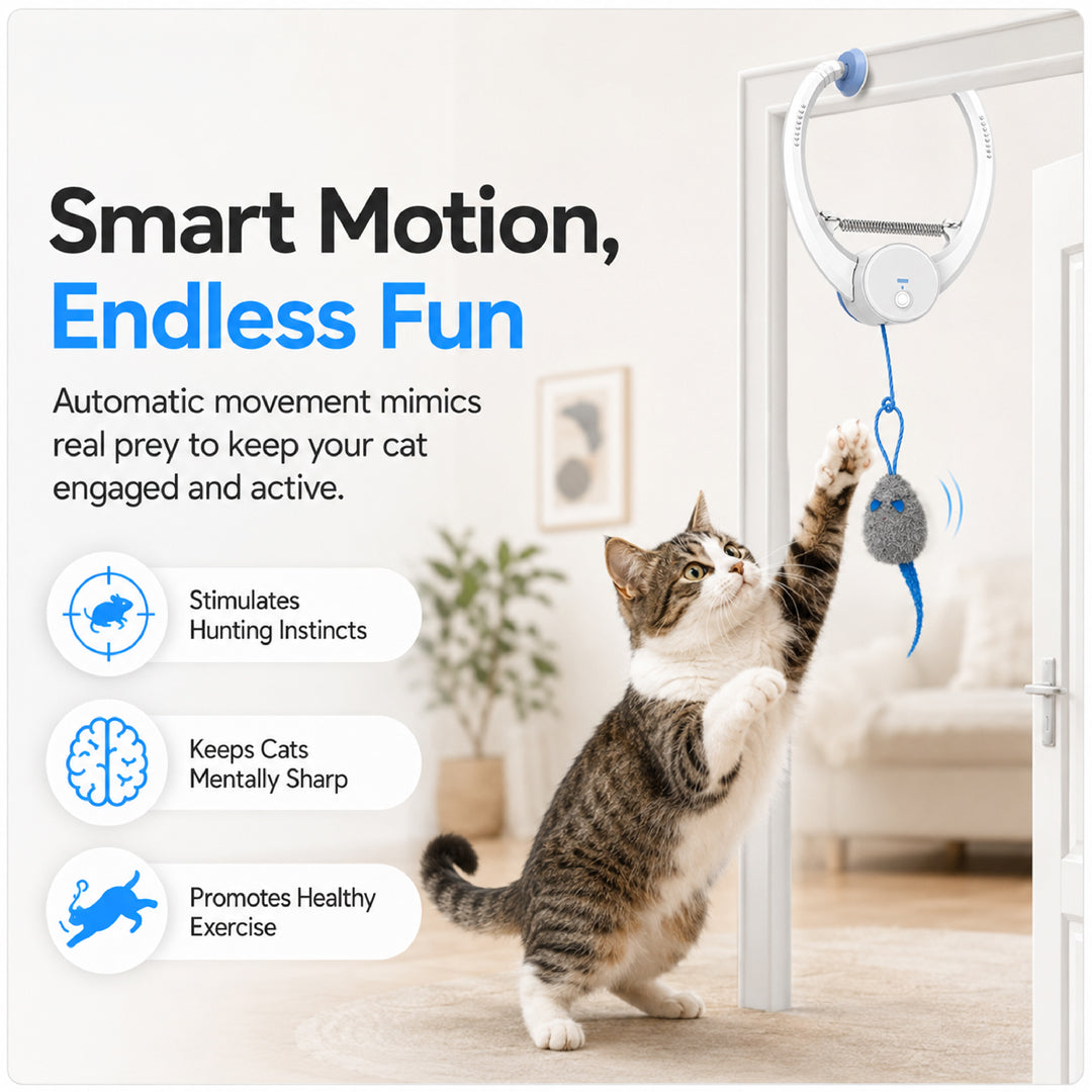 Aevvon smart motion cat toy mimics real prey movement