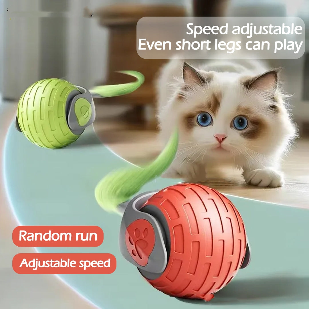 Cat playing with an Aevvon automatic rolling cat ball toy in red and green on the floor