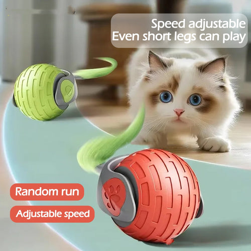 Cat playing with an Aevvon automatic rolling cat ball toy in red and green on the floor