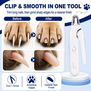 Close-up of electric pet nail grinder head with diamond grinding bit for smooth dog nail filing